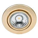 Downlight C 3830 draaibaar IP20, goud mat dimbaar