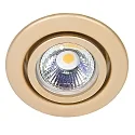 Downlight C 3840 draaibaar IP20, goud mat dimbaar