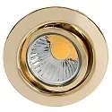 Downlight D 3830 draaibaar IP20, goud dimbaar