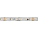 LED stripe 5050 RGB+WW/CW SMD - 2M / 12MM RGBW wit