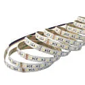 nobilé LED stripe 5050 RGB+WW/CW SMD - 5M / 12MM RGBW wit
