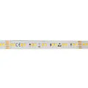 LED stripe SMD 2835 SCCT MP - 2M / 12MM CCT Switch, multipower wit