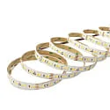 nobilé LED stripe SMD 2835 SCCT MP - 2M / 12MM CCT Switch, multipower wit