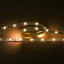 LED stripe LED SMD 5050 IP20, dimbaar