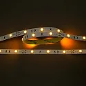 LED stripe LED SMD 5050 IP20, dimbaar