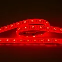 nobilé LED stripe LED SMD 5050 IP67, dimbaar