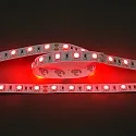 LED stripe LED SMD 5050 IP20, dimbaar