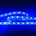 LED stripe LED SMD 5050 IP20, dimbaar