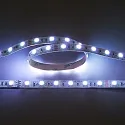 nobilé LED stripe LED SMD 5050 IP20, dimbaar