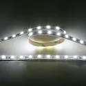 LED stripe LED SMD 5050 IP20, dimbaar