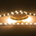 LED stripe LED SMD 5050 IP20, dimbaar