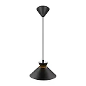 pendant luminaire DIAL 25 E27 IP20, black 