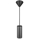pendant luminaire ALANIS GU10 IP20