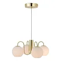 Nordlux pendant luminaire FRANCA E14 IP20, glossy, brass, white dimmable