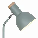 table lamp DEVONE  E27 IP20, dusty green 