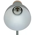 table lamp DEVONE  E27 IP20, dusty green 