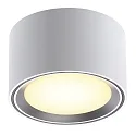 Plafondarmatuur FALLON IP20, staal geborsteld, wit dimbaar