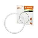 Ledvance LED tube T5 FC 40/55 EXTERNAL ring shape 2GX13 21,5W 3200lm 4000K 120° CRI 80-89 dimmable