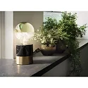Paulmann Kopspiegellamp globe DECO GLOBE G95 LED GOLD ON-OFF G95 helder E27 6,5W 600lm 2700K CRI >80 dimbaar