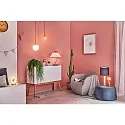 Paulmann Decoratie lichtbron filament G95 E27 6,5W 680lm 2500K CRI >80 dimbaar