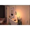 Paulmann LED gloeilamp METALLIC GLOW CYLINDER HELIX schakelbaar E27 3,5W 110lm 1800K CRI >80 