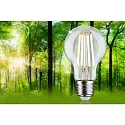 Paulmann Filamentlamp standaardvorm ECO-LINE AGL schakelbaar A60 helder E27 2,5W 525lm 3000K 360° CRI >80  helder