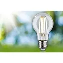 Paulmann Filamentlamp standaardvorm ECO-LINE AGL schakelbaar A60 helder E27 2,5W 525lm 3000K 360° CRI >80  helder