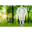 Paulmann Filamentlamp standaardvorm ECO-LINE AGL schakelbaar A60 helder E27 4W 840lm 3000K 360° CRI >80  helder