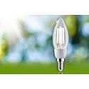 Paulmann Filamentlamp kaarsvorm ECO-LINE E14 2,5W 525lm 3000K CRI 80-89 
