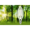 Paulmann Filamentlamp kaarsvorm ECO-LINE CANDLE schakelbaar P45 helder E14 2,5W 525lm 4000K 360° CRI >80  helder