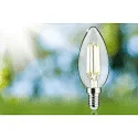 Paulmann Filamentlamp kaarsvorm ECO-LINE CANDLE schakelbaar P45 helder E14 2,5W 525lm 4000K 360° CRI >80  helder