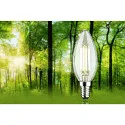 Paulmann Filamentlamp kaarsvorm ECO-LINE CANDLE schakelbaar P45 helder E14 4W 840lm 3000K 360° CRI >80  helder