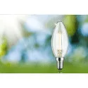 Paulmann Filamentlamp kaarsvorm ECO-LINE CANDLE schakelbaar P45 helder E14 4W 840lm 3000K 360° CRI >80  helder