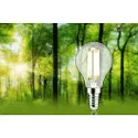 Paulmann Filamentlamp druppelvorm ECO-LINE DROP schakelbaar P45 helder E14 4W 840lm 4000K 360° CRI >80  helder