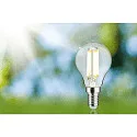 Paulmann Filamentlamp druppelvorm ECO-LINE DROP schakelbaar P45 helder E14 4W 840lm 4000K 360° CRI >80  helder