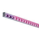 Paulmann Profiel SQUARE PROFILE, aluminium, satijn