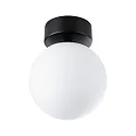Paulmann Wand- en plafondarmatuur GOVE IP44, mat, zwart 