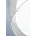 Paulmann wall and ceiling luminaire LUENA IP44, chrome, mat 