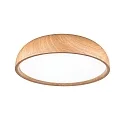 Paulmann Badkamerarmatuur OKA CCT Switch, schakelbaar IP44, hout, mat 