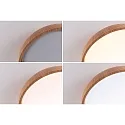 Paulmann Badkamerarmatuur OKA CCT Switch, schakelbaar IP44, hout, mat 