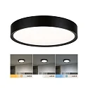 bath luminaire TEGA CCT Switch, switchable IP44, wood, mat 
