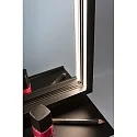 Paulmann Spiegel met verlichting MIRO 45 X 60CM hoekig, Tunable White, met plank IP44, zwart mat 