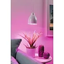 Paulmann pendant luminaire NEORDIC HILLA E27, white dimmable