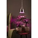 Paulmann pendant luminaire NEORDIC HILLA E27, brushed iron dimmable