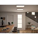 Paulmann LED paneel VELORA LED schakelbaar, 33W 2660lm 3000K CRI >80
