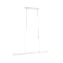 Paulmann pendant luminaire APTARE LED ZigBee controllable LED IP20, white matt dimmable