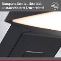 Paulmann Wandarmatuur voor buitenshuis ZERENA met sensor, insectenvriendelijk, zeeluchtbestendig IP44, antraciet 