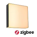 Wandarmatuur voor buitenshuis AZALENA met sensor, ZigBee aanstuurbaar, insectenvriendelijk IP44, antraciet, transparant dimbaar