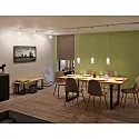 Paulmann Paulmann URail LED Pendant luminaire Arido II 230V 5W GU10 chrome matt/clear/satined