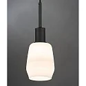 Paulmann Pendelarmatuur URAIL DECOSYSTEMS zonder lampenkap E14, zwart mat, wit dimbaar